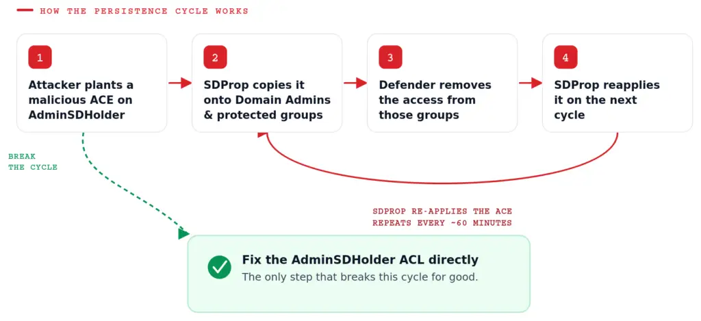 Diagram showing the AdminSDHolder persistence cycle: an attacker plants a malicious ACE, SDProp copies it onto Domain Admins every 60 minutes, defenders remove it, and SDProp reapplies it until the AdminSDHolder ACL itself is fixed.